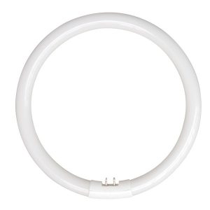 Circular fluorescent T5 Ring Light round bulb